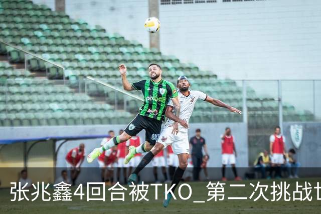 张兆鑫4回合被TKO 第二次挑战世界金腰带失败